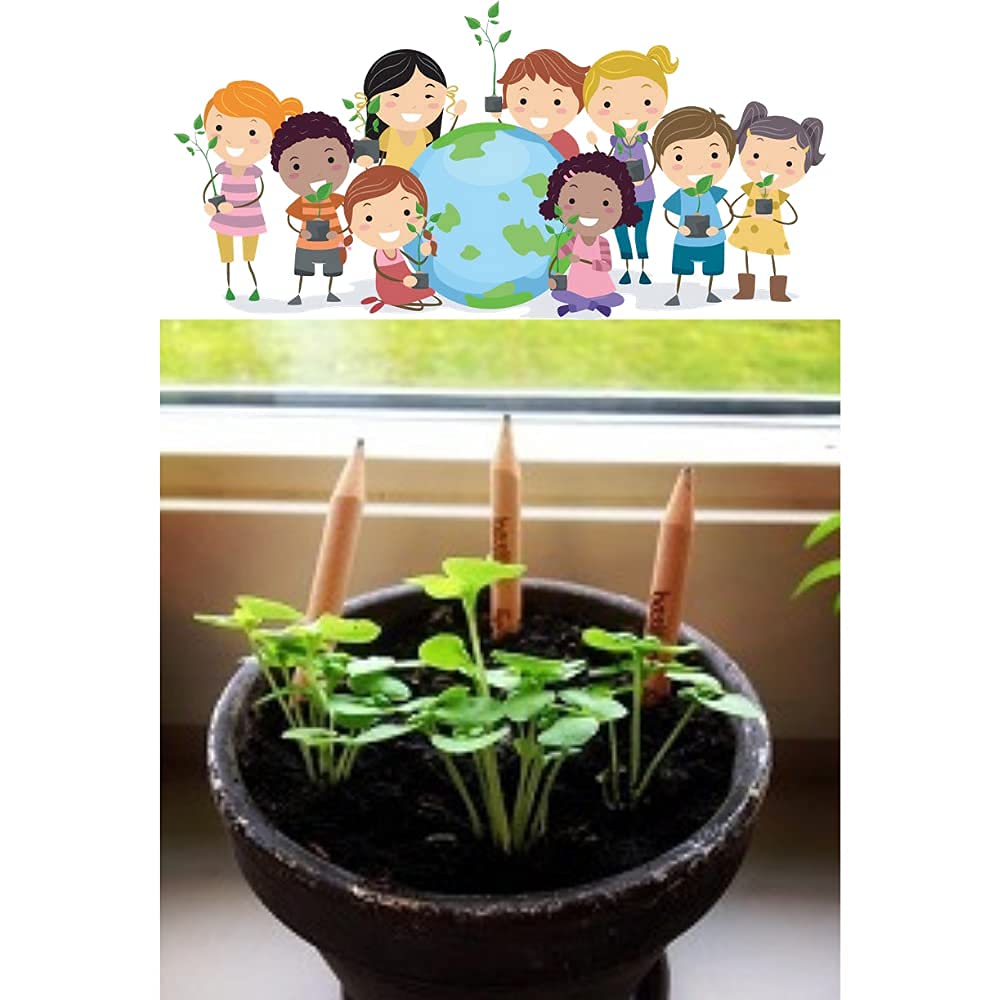 61Xrm0bgPDS._SL1000_